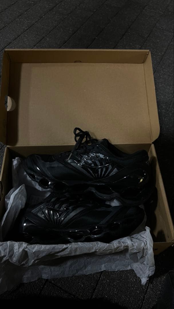 靴 mizuno wave prophecy