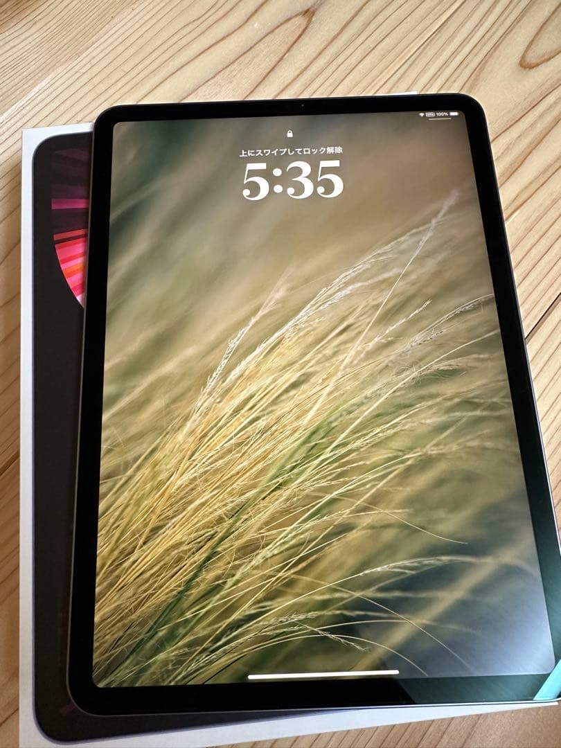 iPad Pro 11インチ 第3世代(M1チップ) Apple pencil付