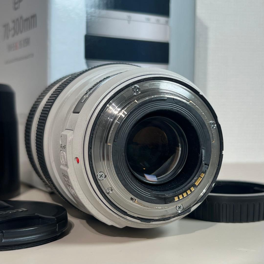 CANON キヤノン EF 70-300mm f4-5.6 L IS USM