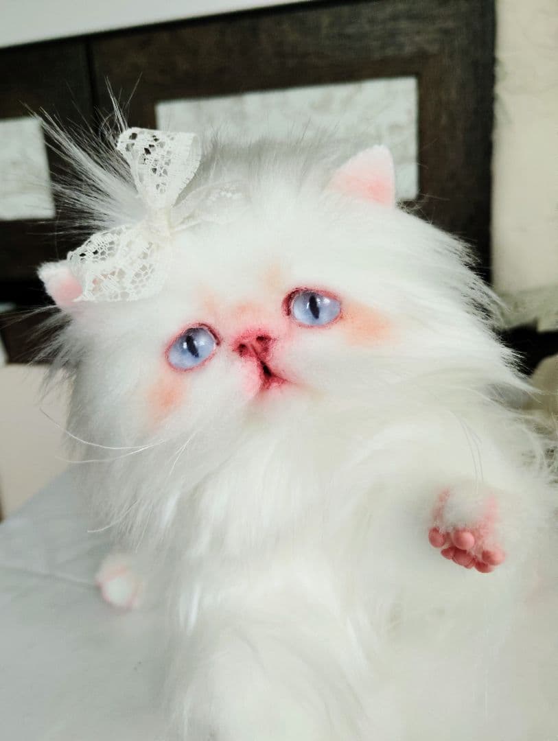 綺麗なオメメの女の子❤エキゾチック子猫ちゃん♡アートドール♡ぬいぐるみ♡
