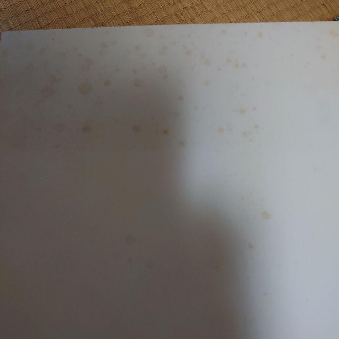 ラッキーウッド