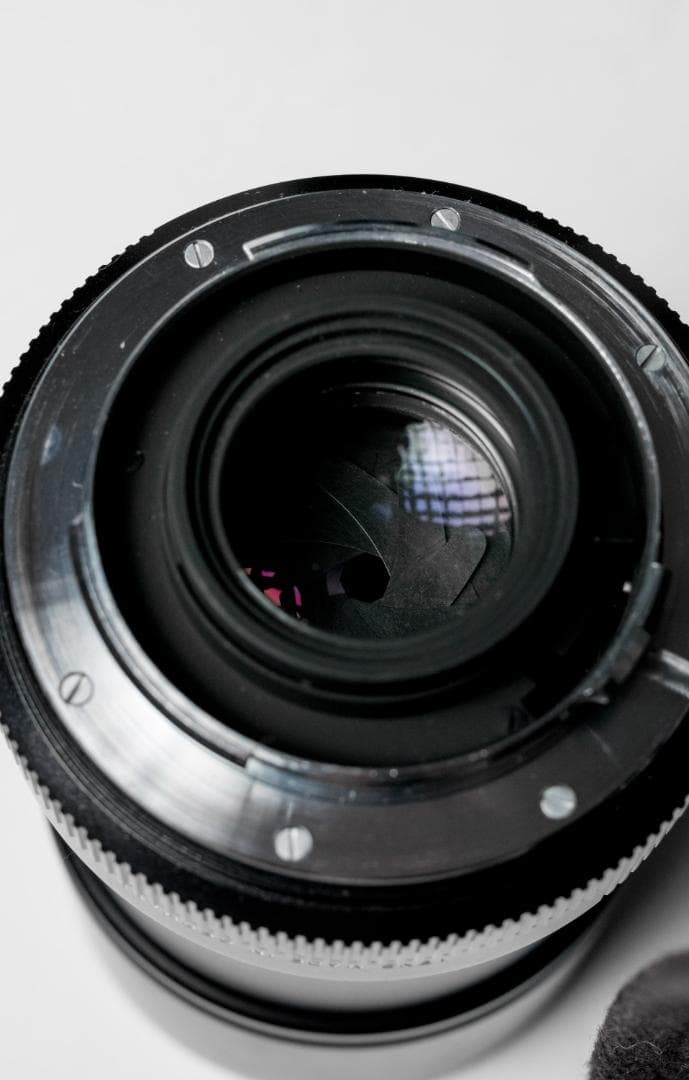 Leica R 100mm f4 Macro 下記＋ ライカMアダプター