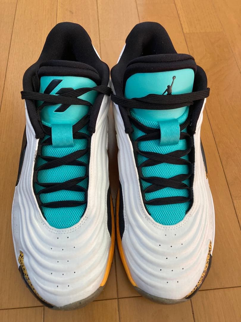 ジョーダン ルカ3 SE PF 28.0cm