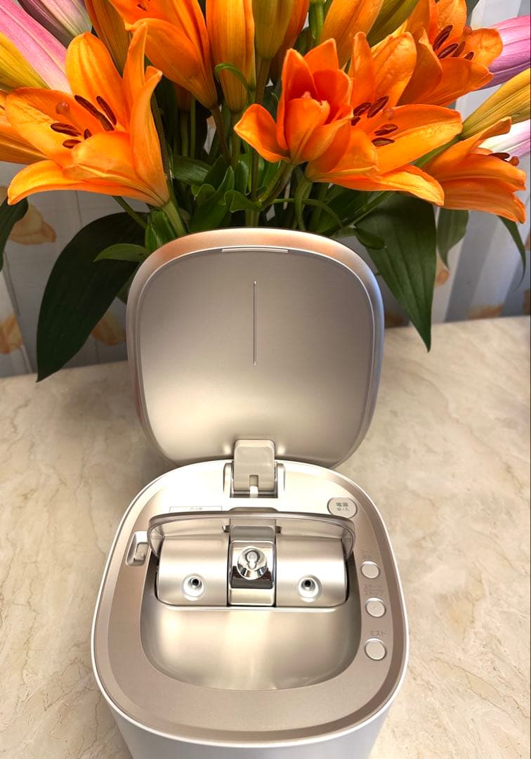 【新品未使用】Panasonic スチーマー ナノケア EH-SA0B