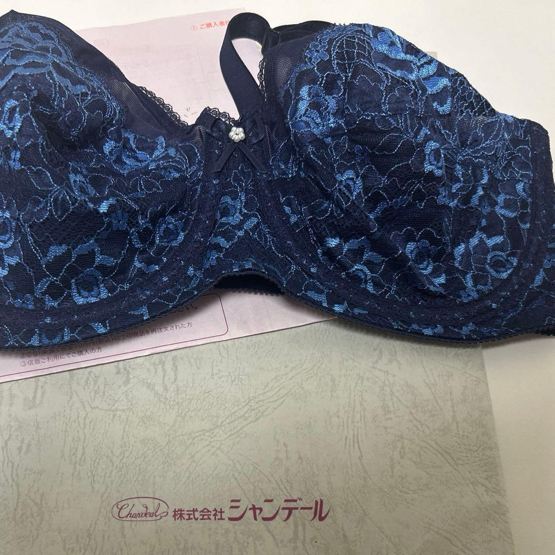 シャンデール　ブラジャーD75