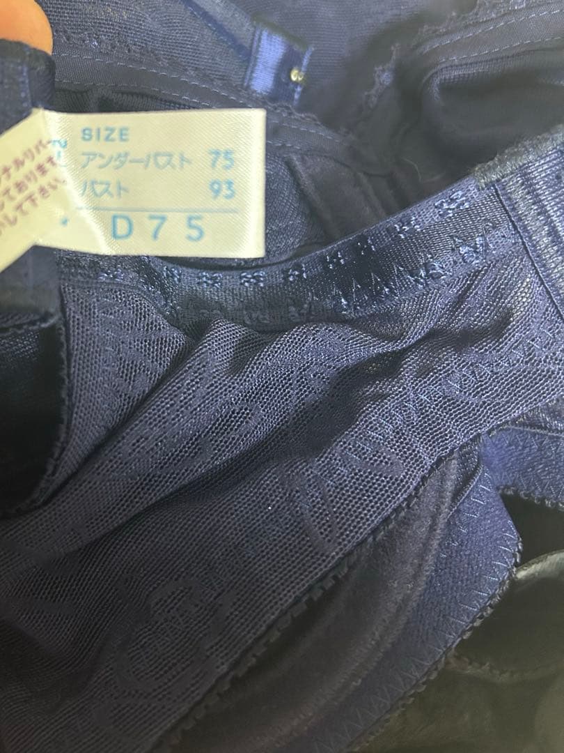 シャンデール　ブラジャーD75