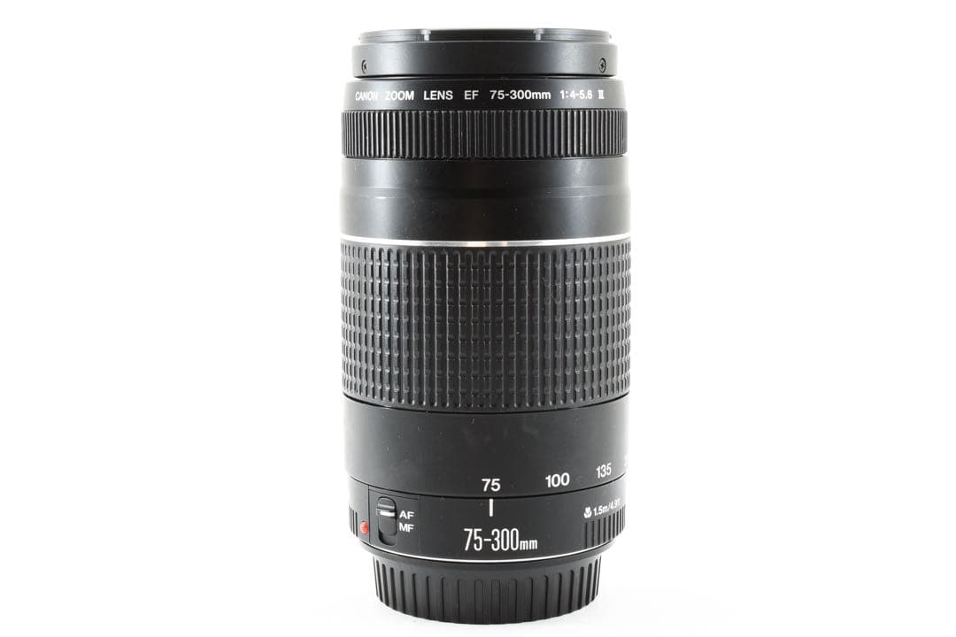 Canon EF 75-300㎜ 1:4-5.6Ⅲズームレンズ 超望遠 300㎜