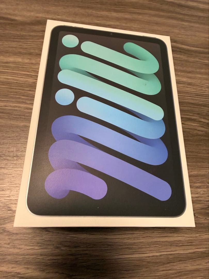 iPad mini 第7世代 スペースグレイ 本体 純正カバー付