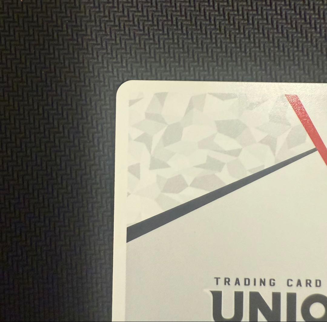 ユニオンアリーナ　マクロス　シェリル　ランカ　アクションポイント　AP