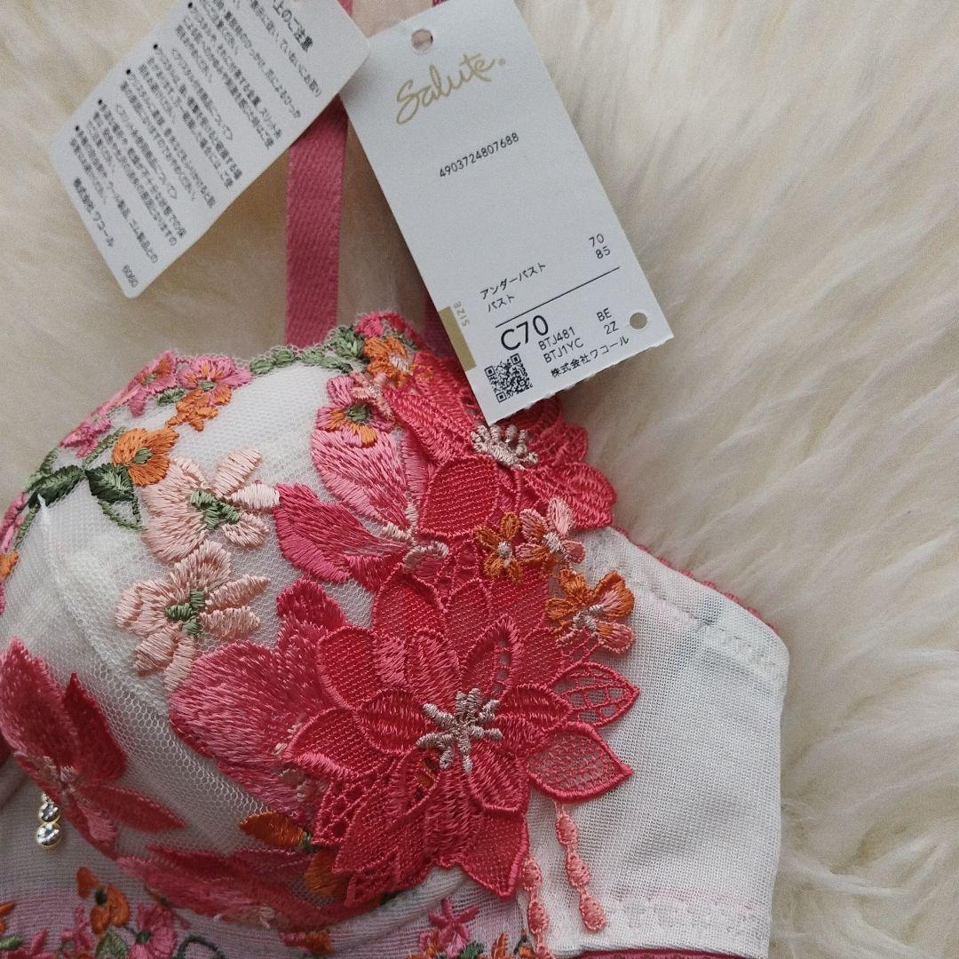 salute サルート 81G 81グループ　セット C70 L　 BE