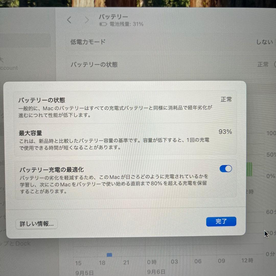 美品　MacBookAir M3 15inch 24GB 1TB