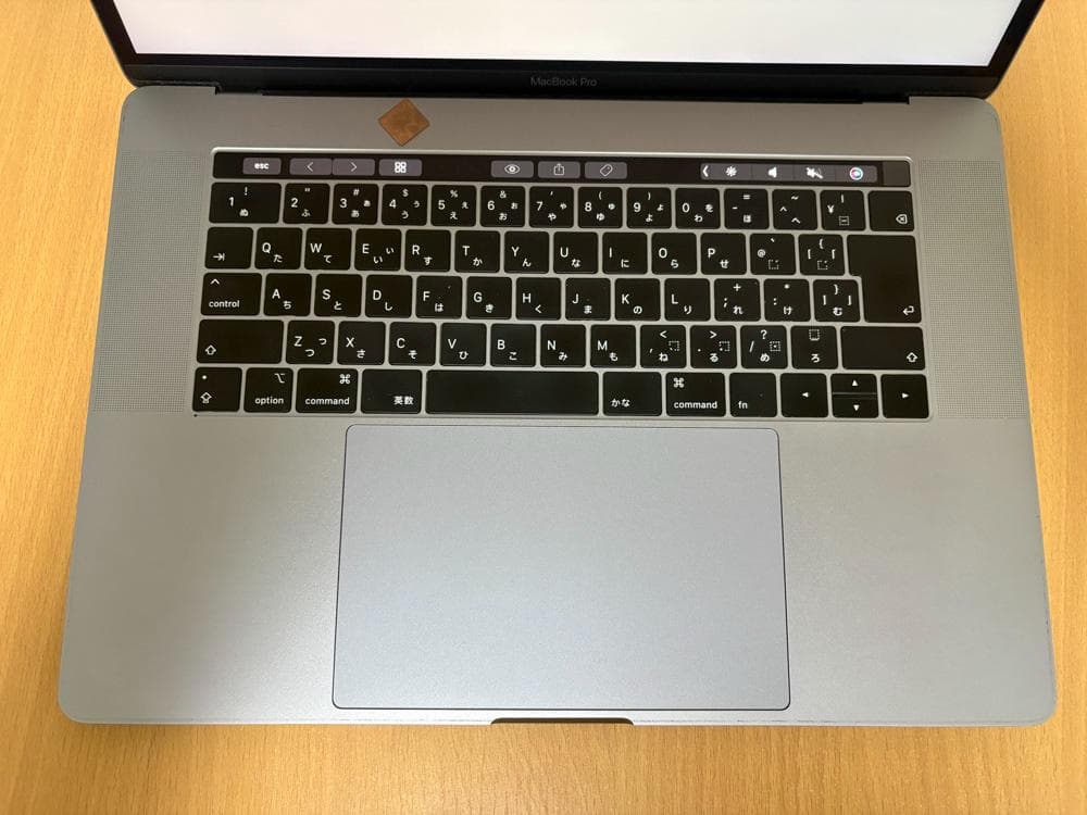 MacBook Pro15㌅ 2019 i9 32GB 1TB充放電113回美品