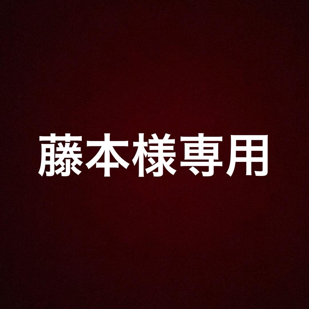 iPod Pro １１ gen 1