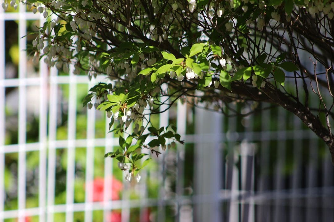 ✨安心保証✨CANON ZOOM EF 75-300mm f/4-5.6 USM