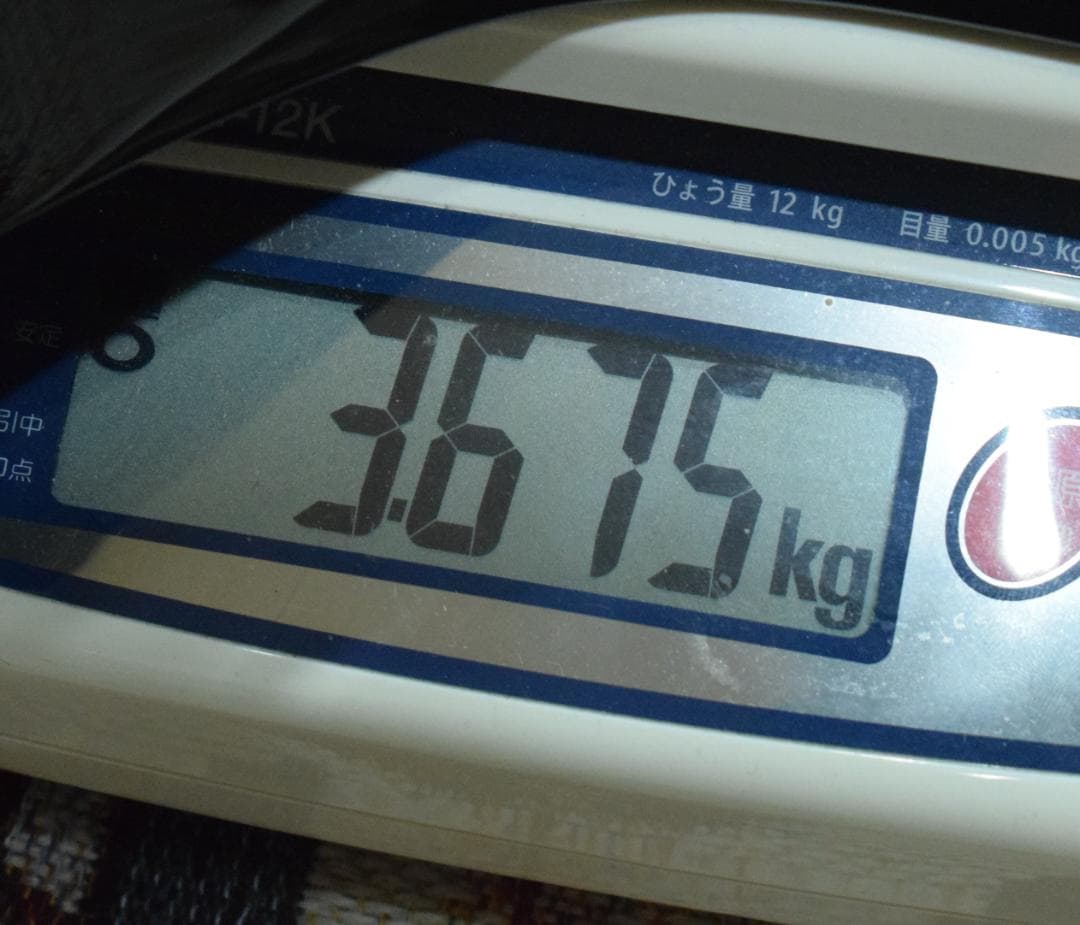 HISTORY SH-TC/R トップバインディングボディ【ハードケース付】