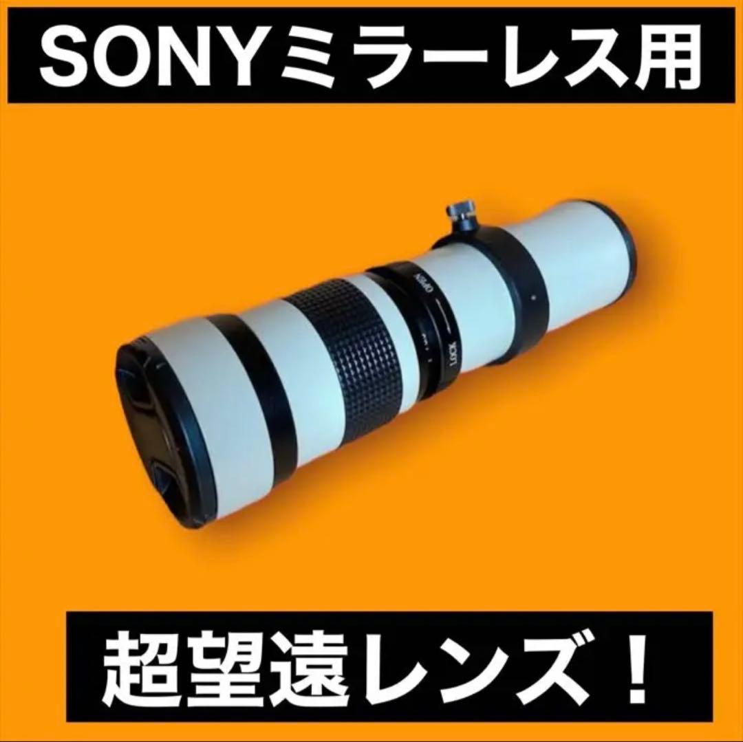 SNS投稿OK！驚異のズームレンズ！SONYミラーレスカメラ用！便利な袋付き！