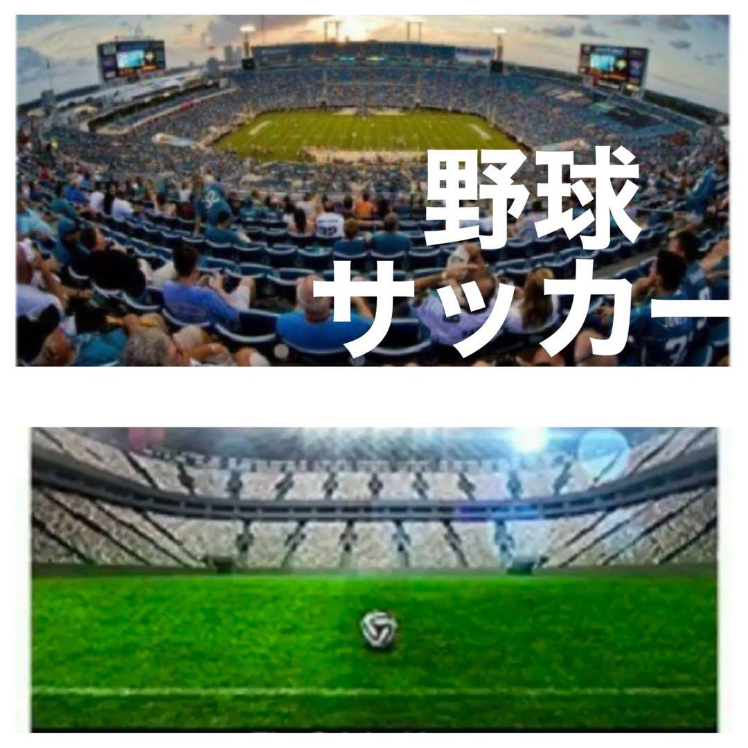 SNS投稿OK！驚異のズームレンズ！SONYミラーレスカメラ用！便利な袋付き！