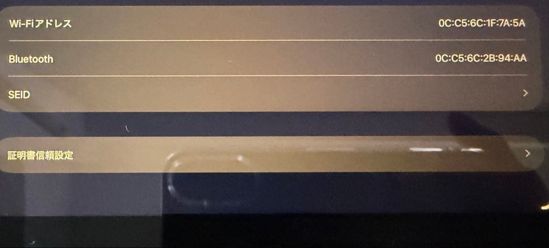 iPad mini A17 128GB スペースグレー