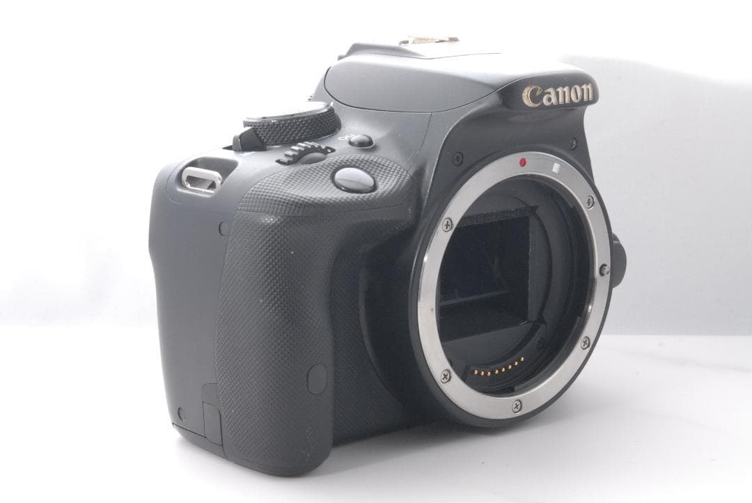 おでかけに最適な最軽量一眼レフ♪ Canon Kiss X7 写真も動画OK