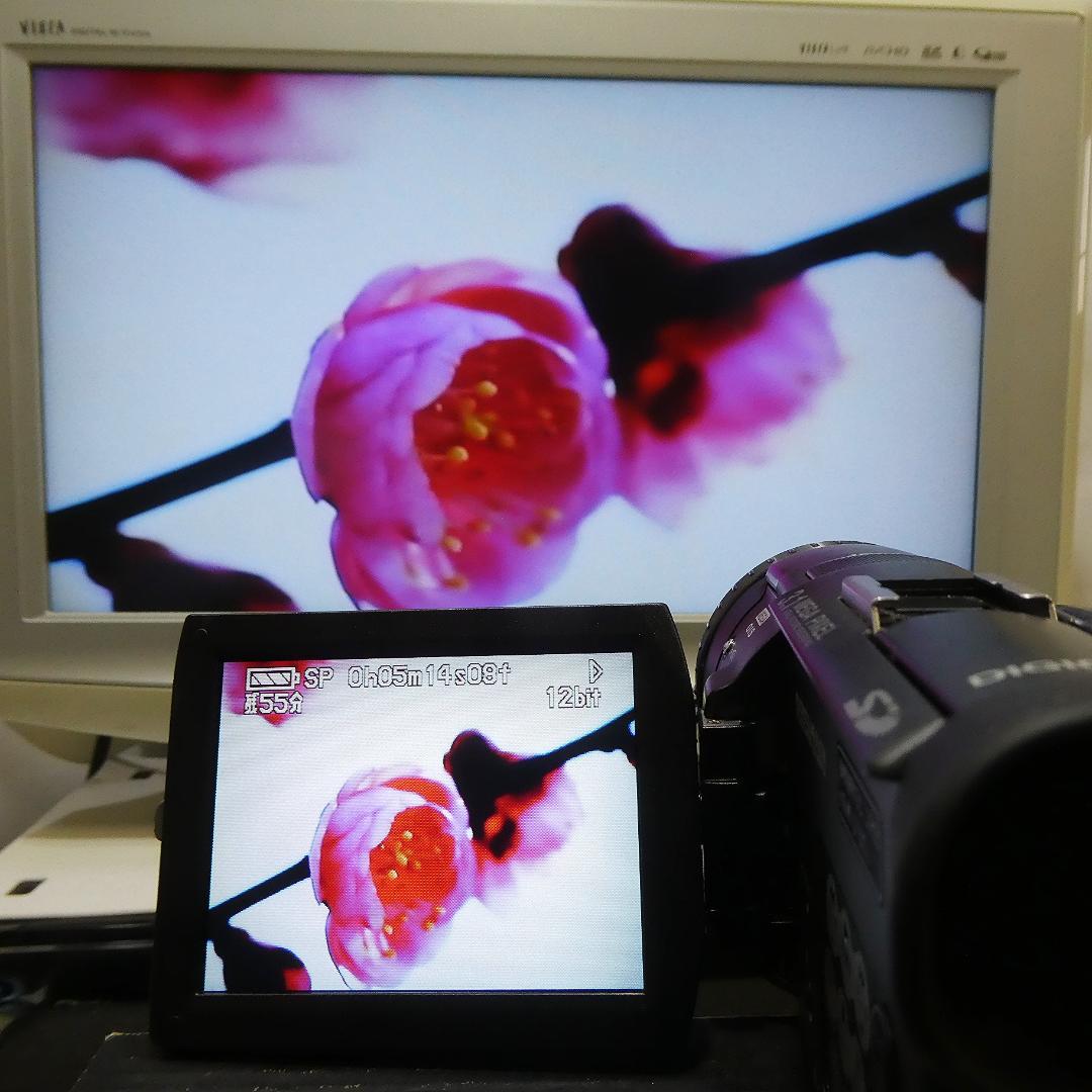 美品・動作良好 パナソニックNV-GS100 MiniDVビデオ　DVD化に最適