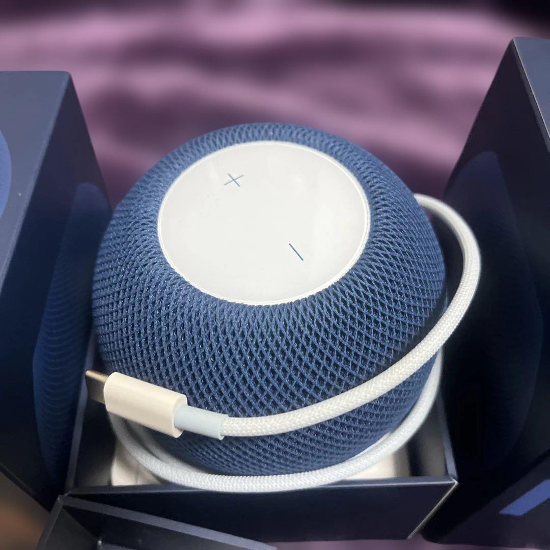 【本日限定】Apple Pod mini 2個セット ブルー 美品