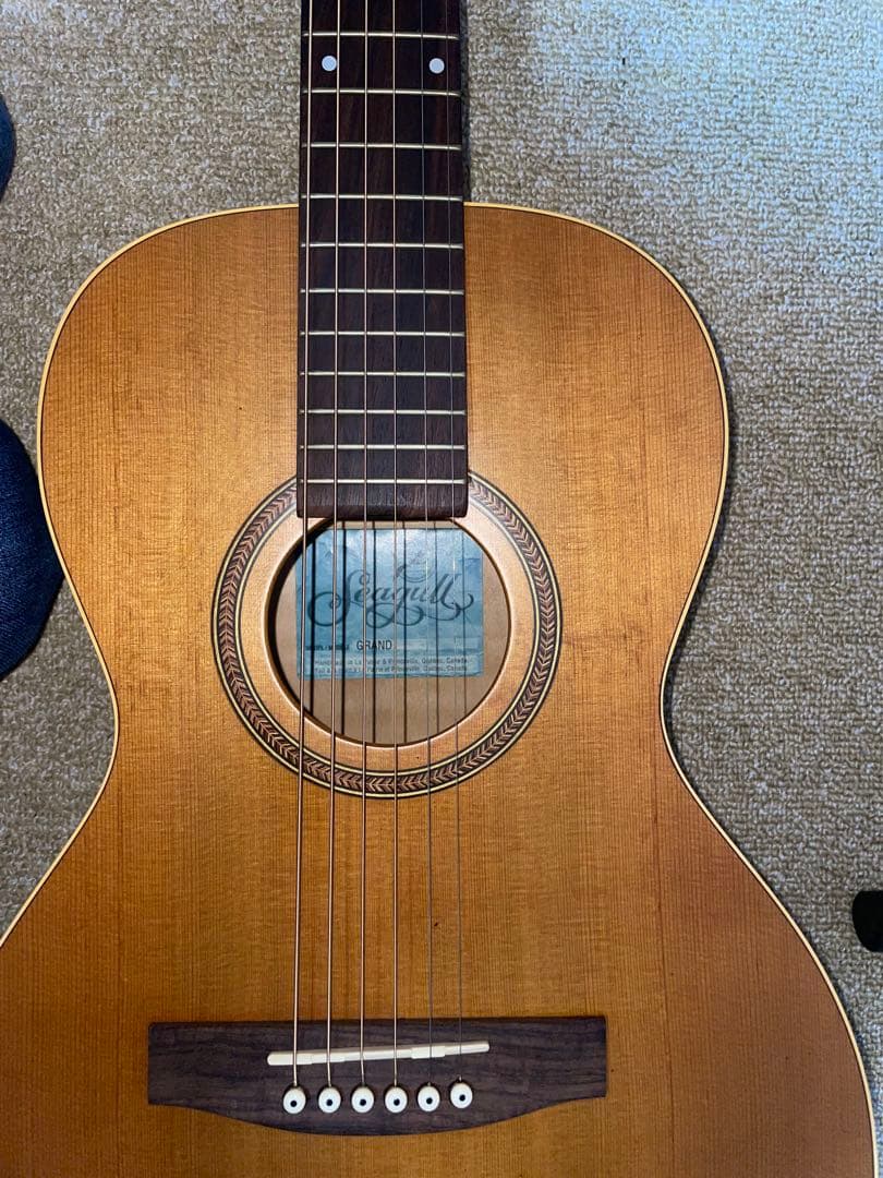 シーガル Seagull Grand パーラーギター【専用ハードケース付】