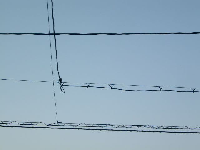 動作確認済み CASIO QV-R4 スマホ転送OK　フルセット