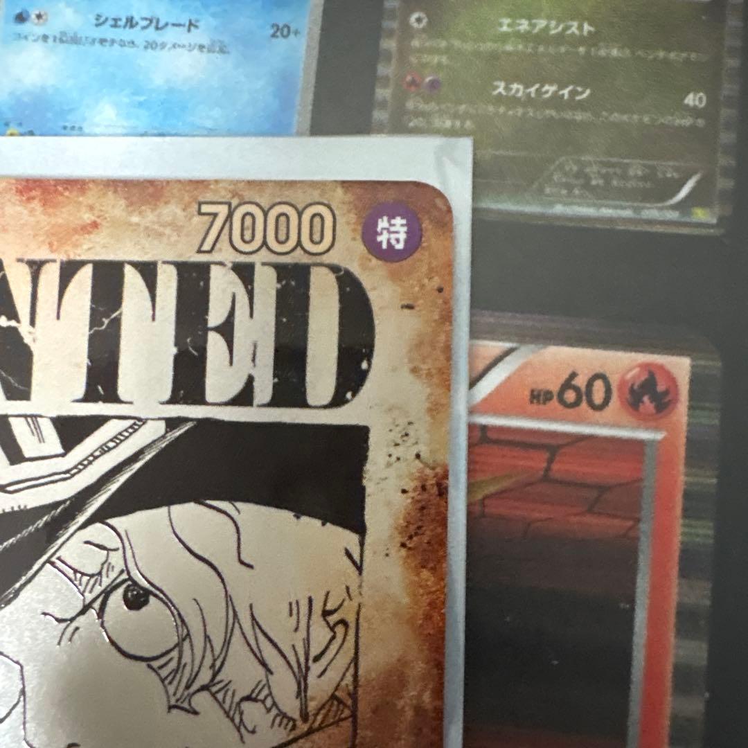 サボのシクパラ　手配書