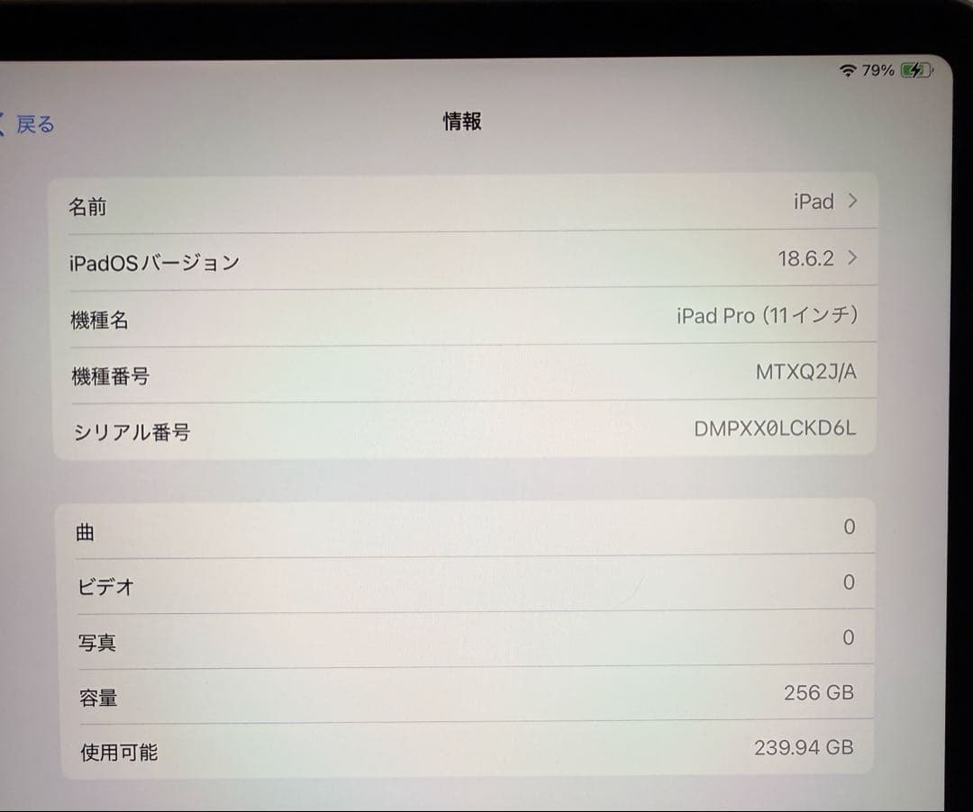 iPad Pro 11インチ 第1世代 256GB スペースグレイ