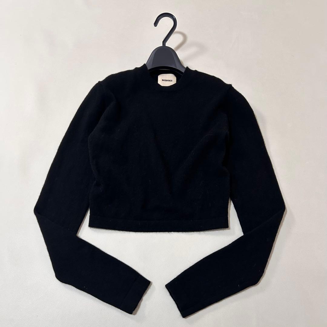 シシクイ　SHISHIKUI カシミヤ100% クロップド丈クルーネックニット
