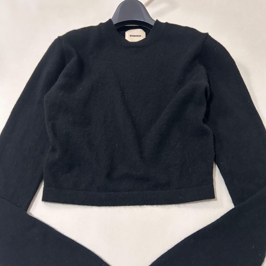 シシクイ　SHISHIKUI カシミヤ100% クロップド丈クルーネックニット