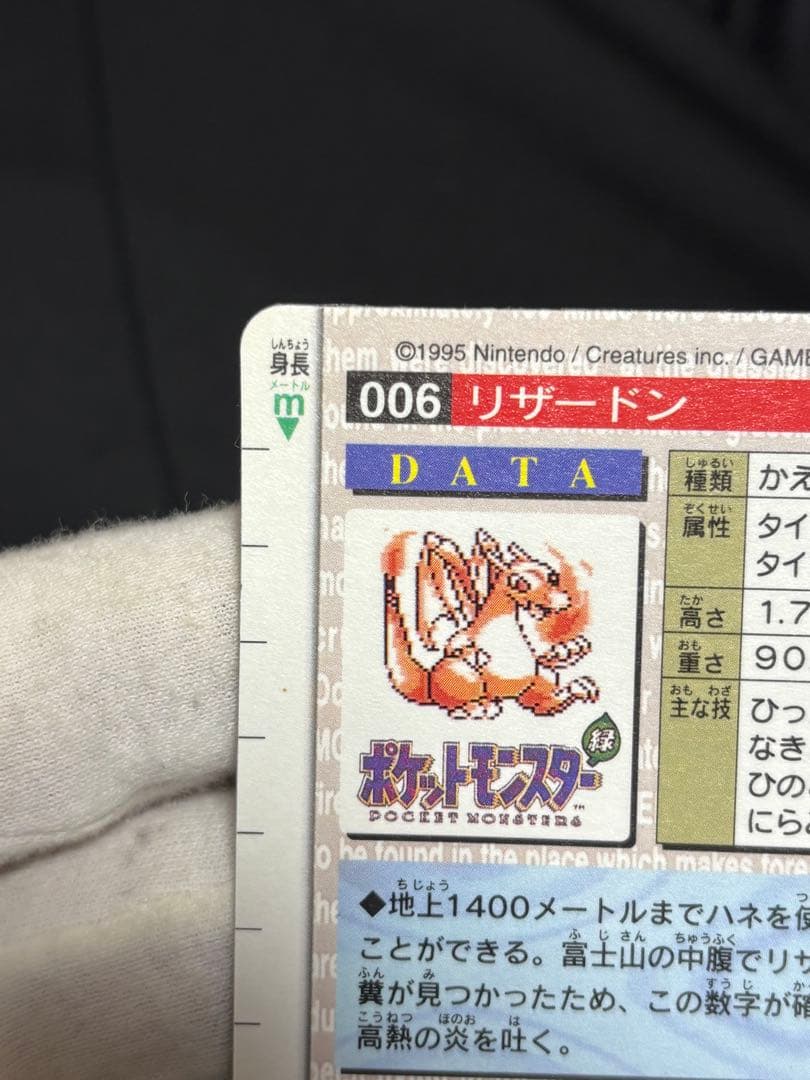 ポケットモンスター ポケモンカード リザードン カードダス 緑