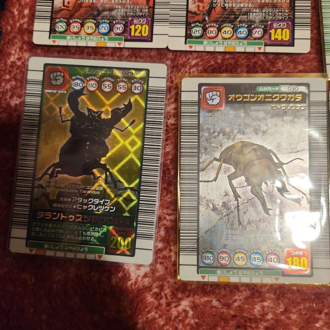 トレーディングカードセット