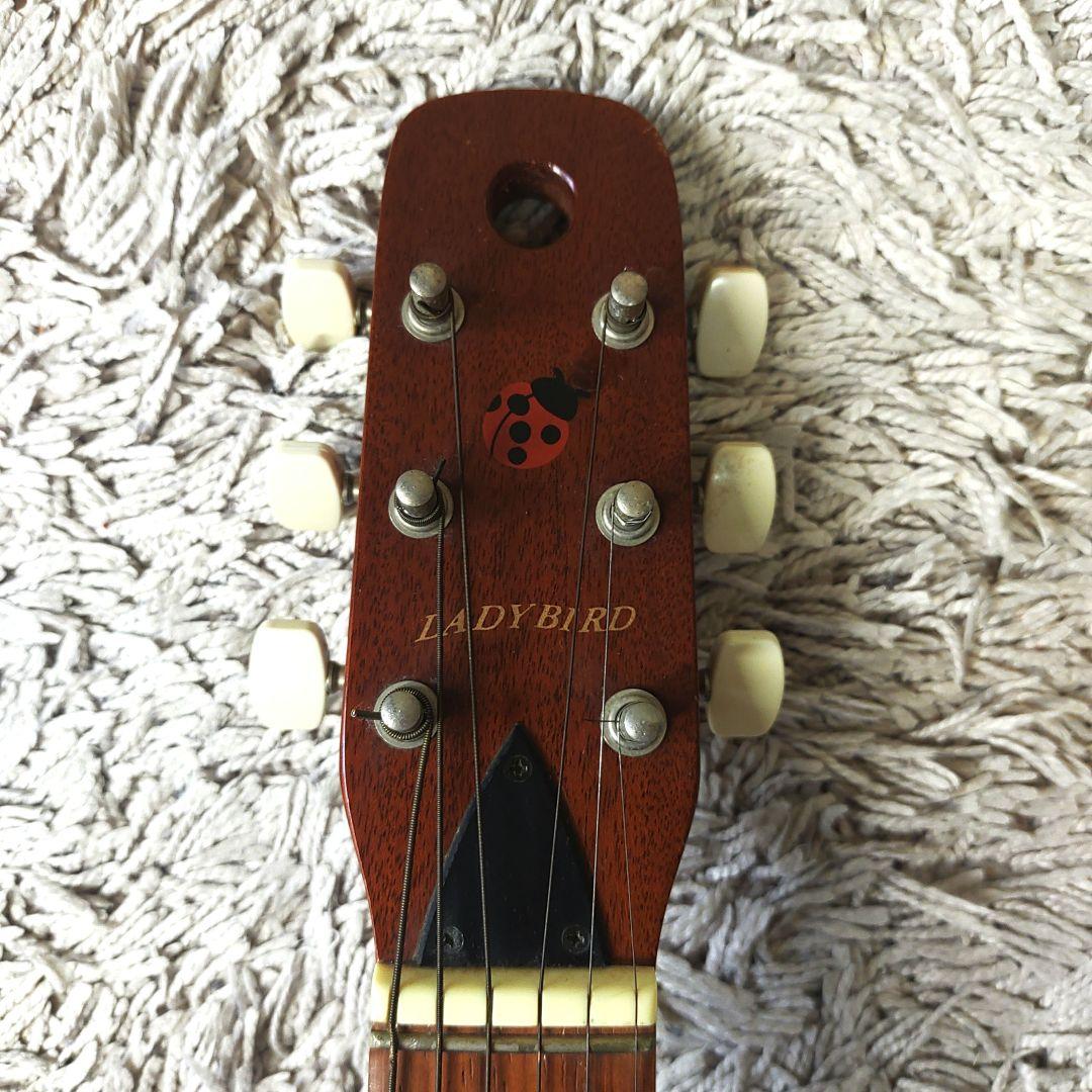 K.Yairi ladybird てんとう虫　Enjoy Part III