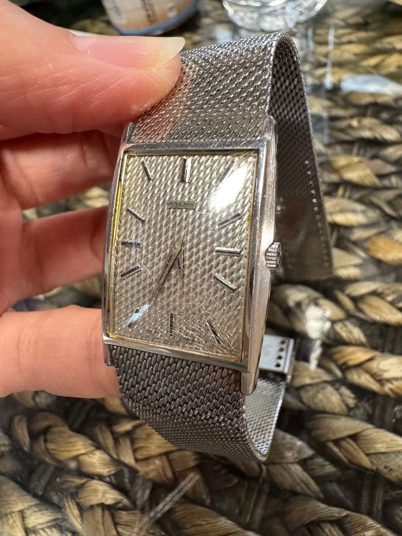 ジュニベア　シルバーメッシュ