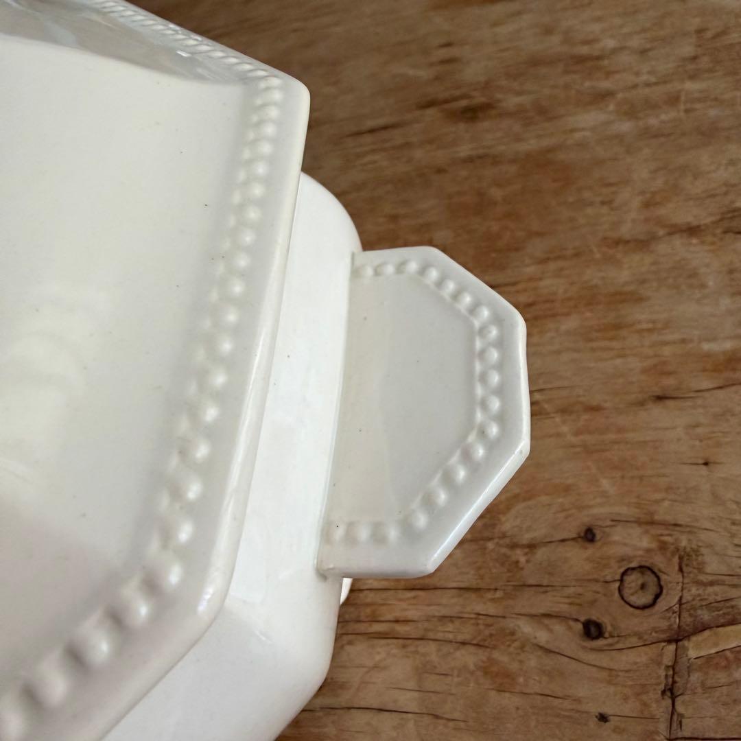 激レア サルグミンヌ オクトゴナル レギュミエール