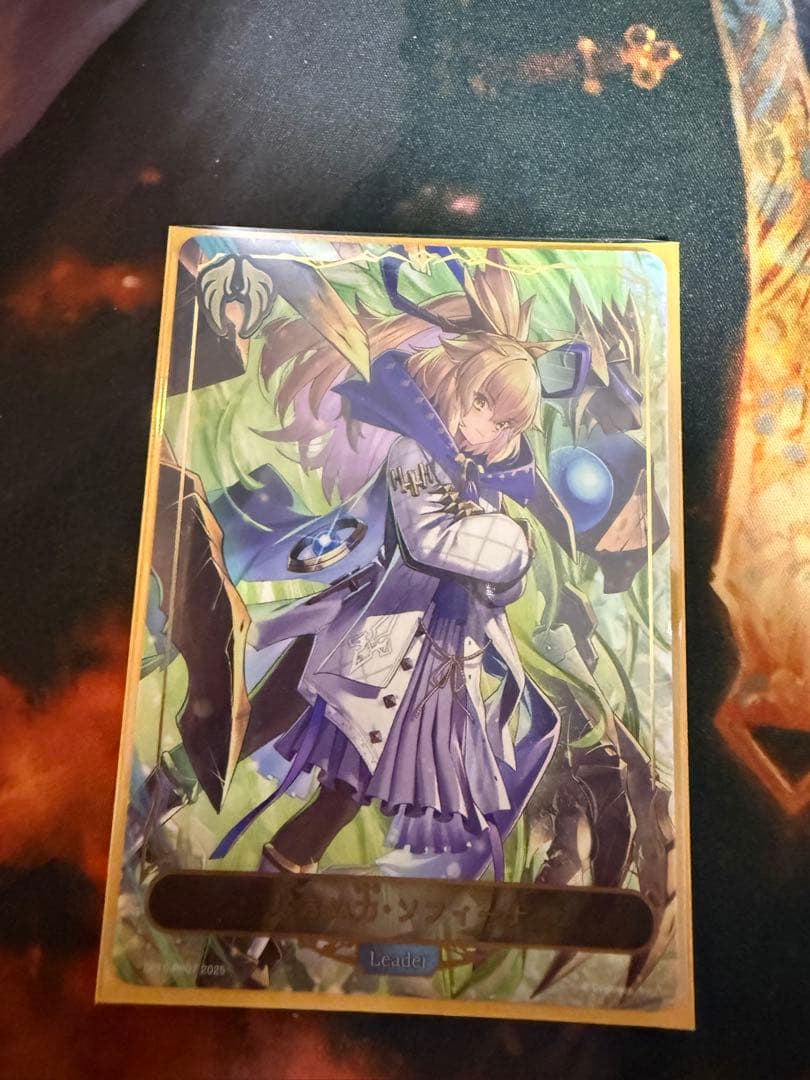 尽きぬ力・ソフィーナ リーダー