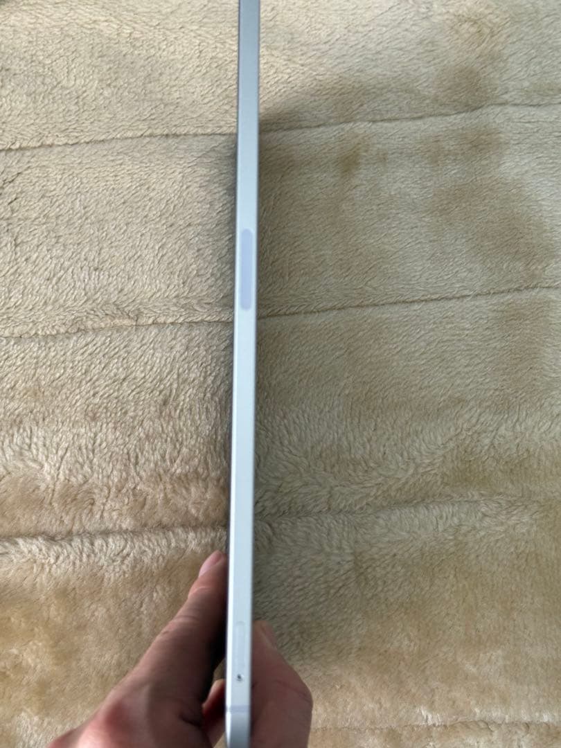 iPad Pro12.9 256G 第5世代