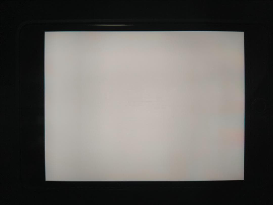 iPad mini 5 256GB Cellular スペースグレイ 本体のみ