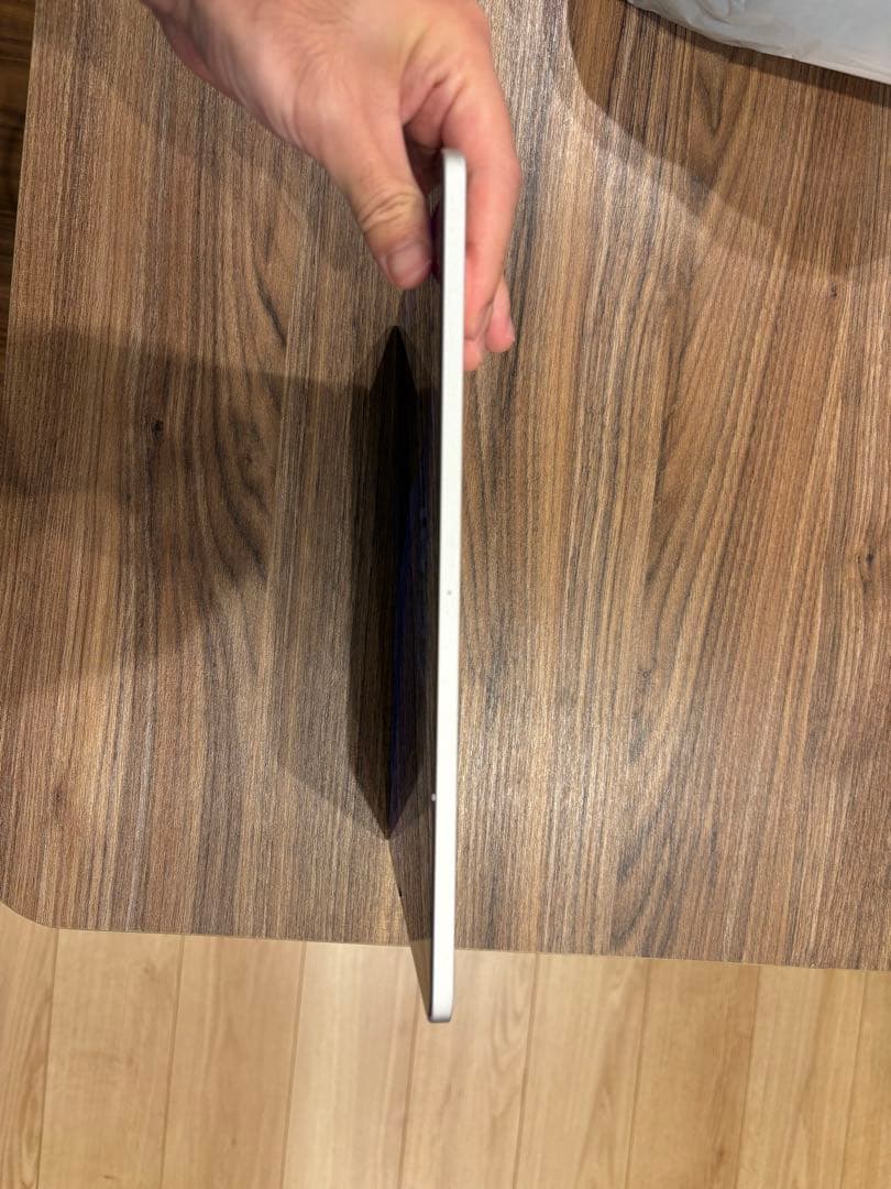 iPadPro11 第2世代　256GB