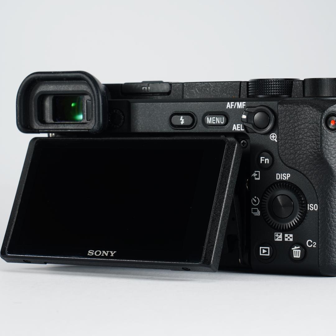 α6400で子供の瞬間を逃さない人生最後のチャンス SONY SD付き