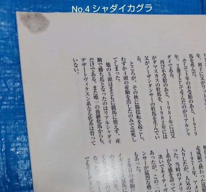 週間100名馬 Gallop 全巻100冊セット ＃ウマ娘