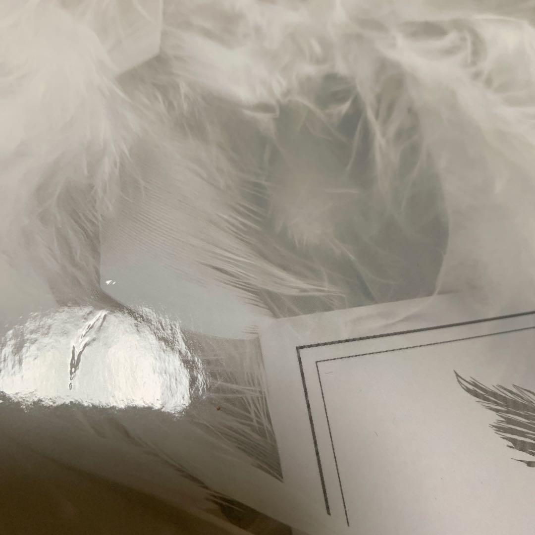 2PMジュノSIXHigherDays Blu-ray