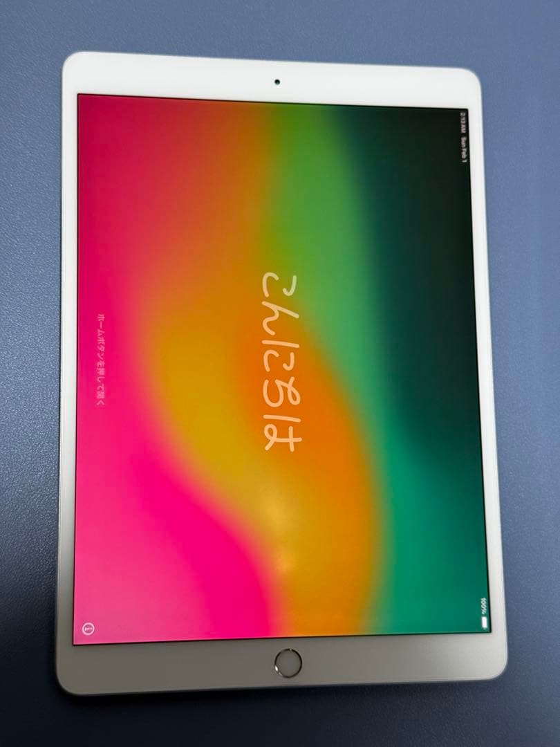 【256GB】iPad Pro 10.5 Wi-Fi シルバー ※動作に難あり