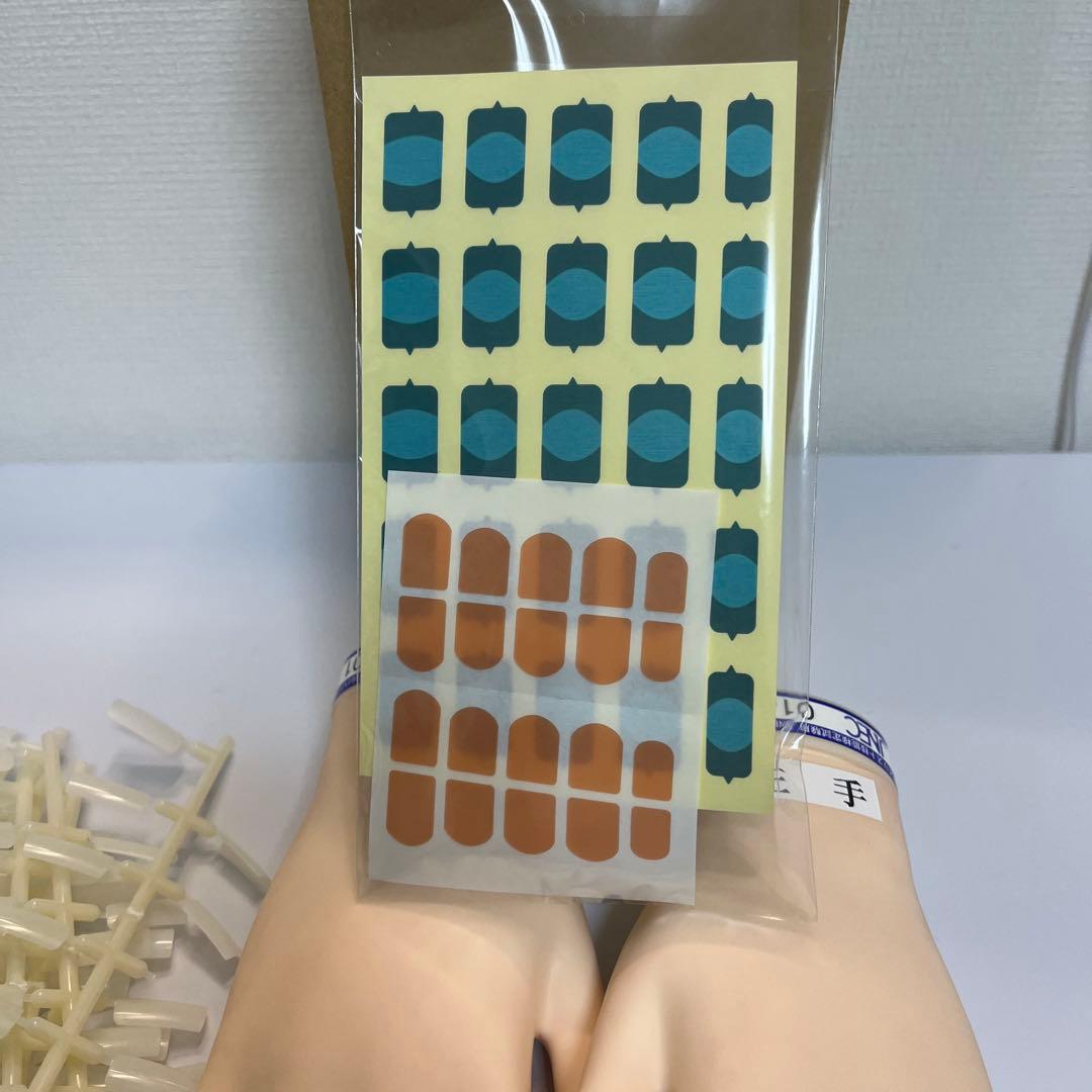 美品　タキガワ　JNEC認定モデルハンド　検定用認定ハンド　STモデルハンド