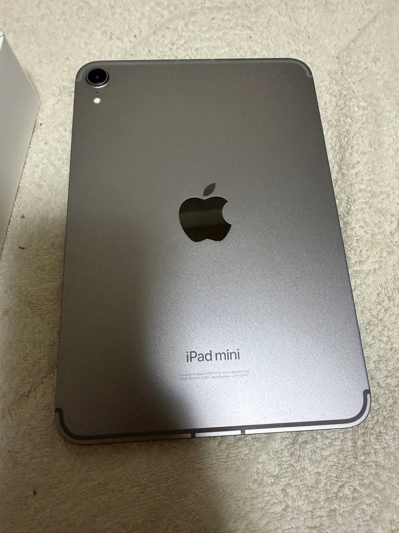 iPad mini Wi-Fi ＋ Cellularモデル 256GB