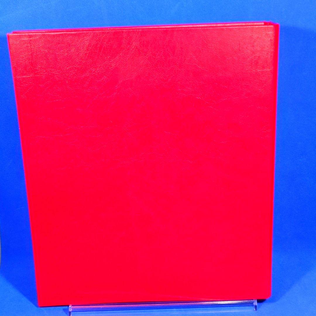 非売品　超貴重　ドラゴンドライブ バインダー 赤　未使用品