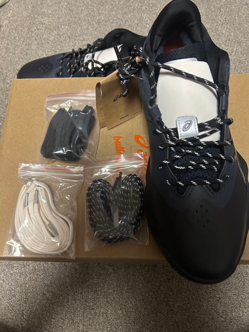 シューズ(男性用) asics Nova Surge low 27.5