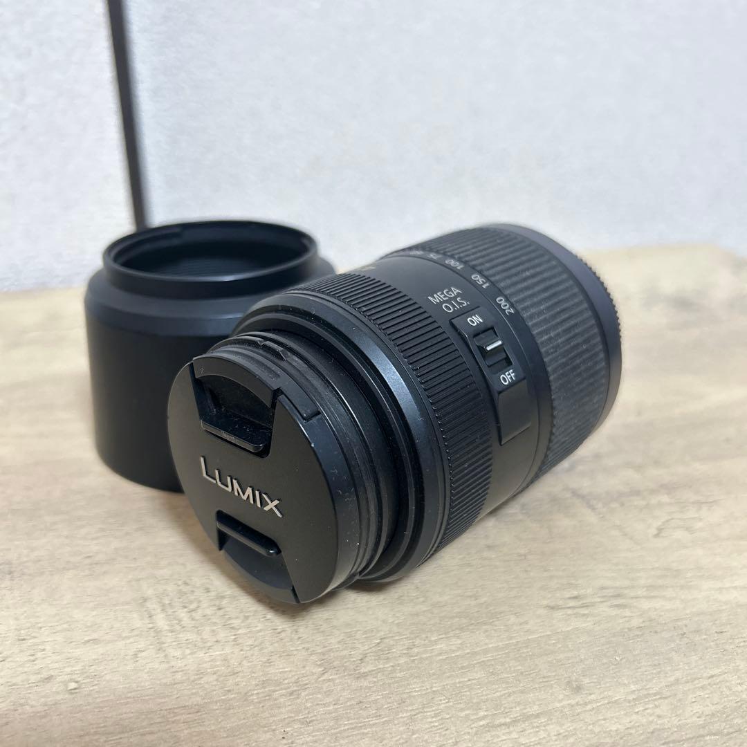 LUMIX H-FS045200 45-200mm 望遠レンズ