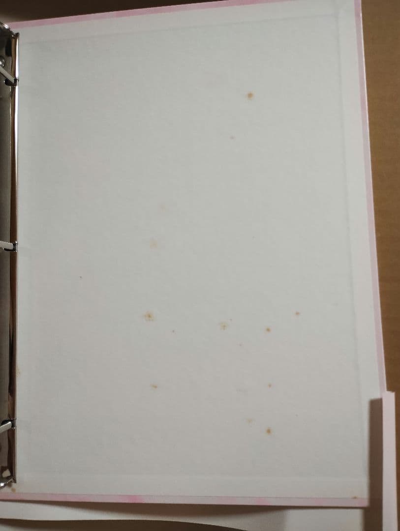 カードキャプターさくら PPカード41枚+カードダス59枚+アルバム